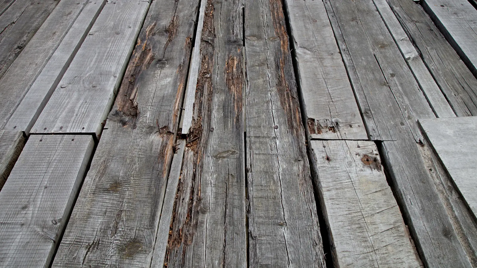 Deck Steps That Feel Unstable or Have Visibly Damaged Treads
