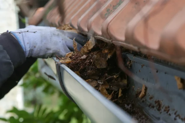 Windsor Handy Wizards Worker Clearing And Repairing Roof Gutters in Windsor, ON